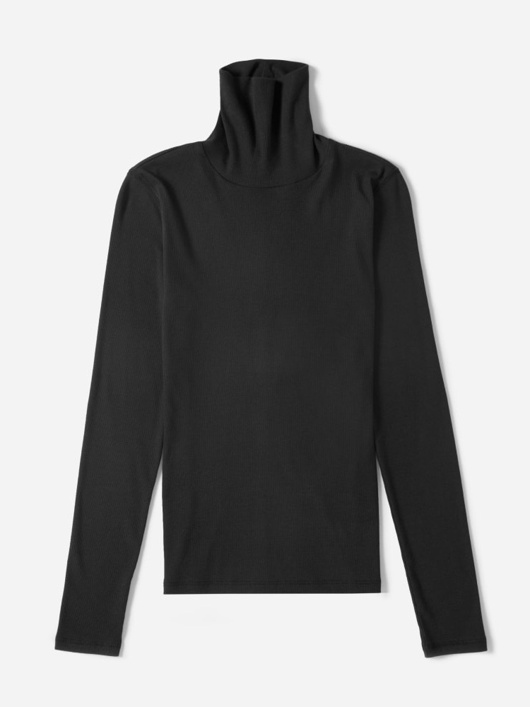 Everlane Pima Cotton Turtleneck